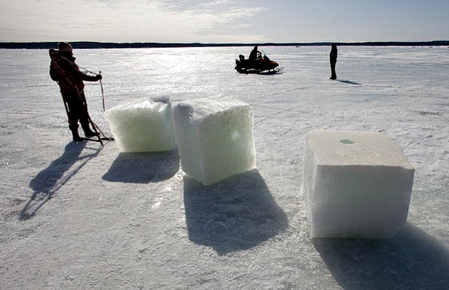Заполярье, ледяное море (- 1,5°), две белухи и… девушка