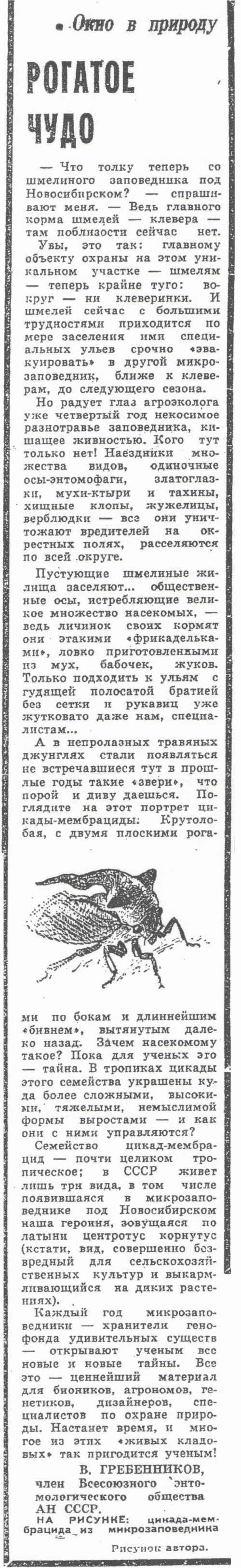 Рогатое чудо. В.С. Гребенников. Вечерний Новосибирск, 16.08.1980.