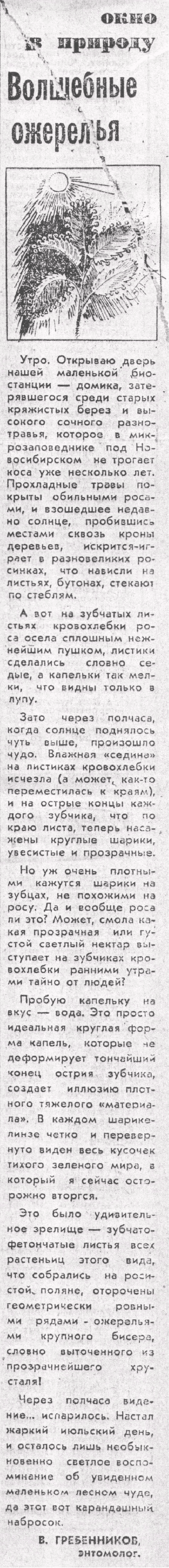 Волшебные ожерелья. В.С. Гребенников. Вечерний Новосибирск, 18.07.1980.