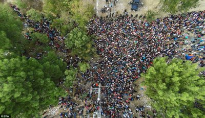 Мигранты штурмуют европейские границы и устраивают беспорядки в тех странах куда им удалось попасть